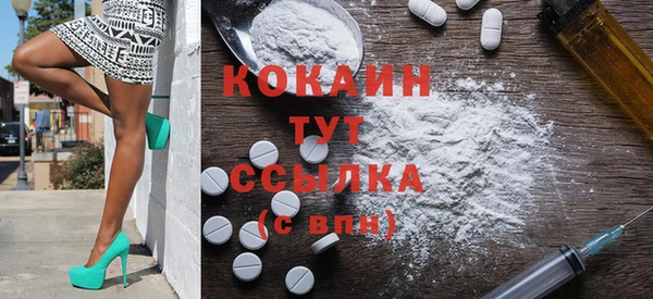 дмт Карпинск