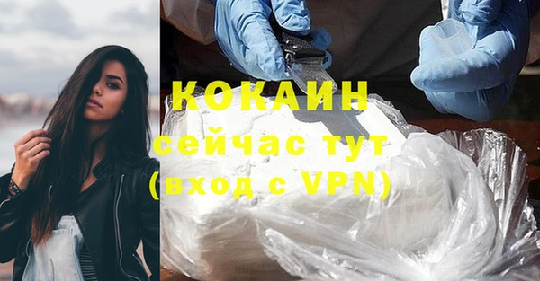 дмт Карпинск