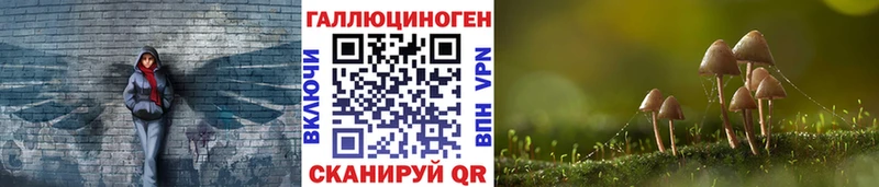 Галлюциногенные грибы Psilocybe  Купить  Павлово 